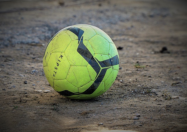 这一现象的 这一现象的