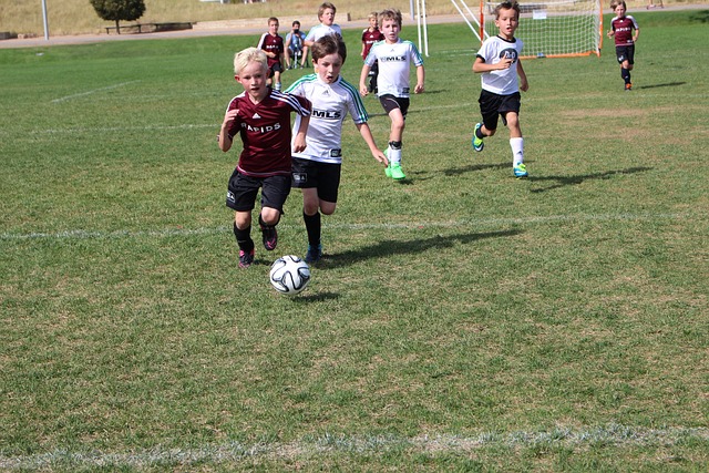 推了各自的 推了各自的